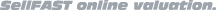 Online Evaluation